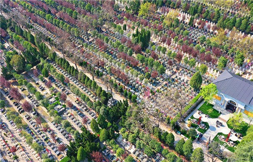 西安北大街至西安高橋公墓距離及公交車線路