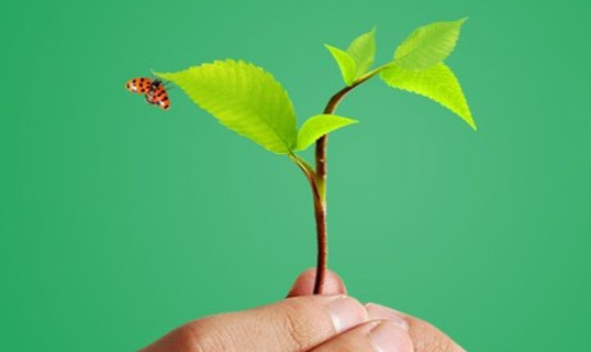 西安霸陵墓園具體價(jià)格是多少