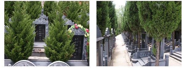 西安市殯儀館靈車(chē)接運(yùn)服務(wù)