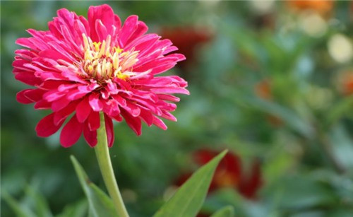 西安市最好的公墓