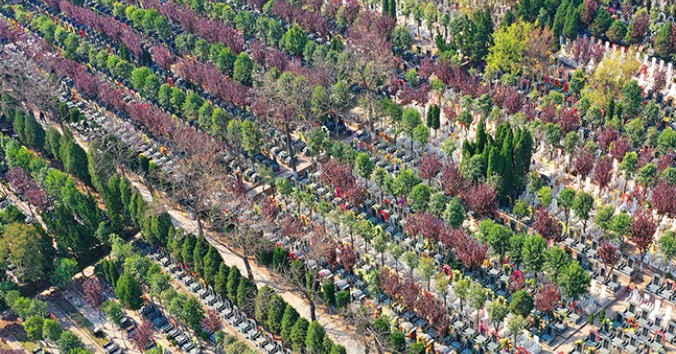 霸陵公墓到紡織城地鐵站多遠