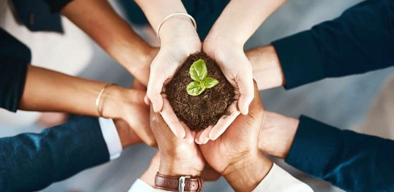 西安購(gòu)墓流程