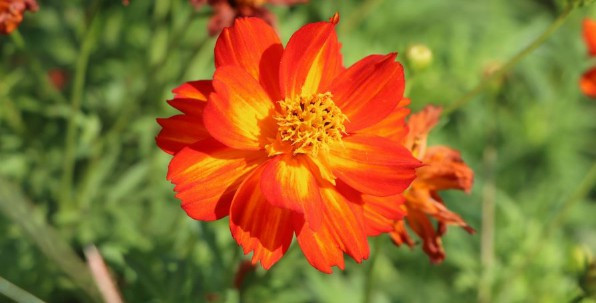 西安公墓有哪幾個(gè)