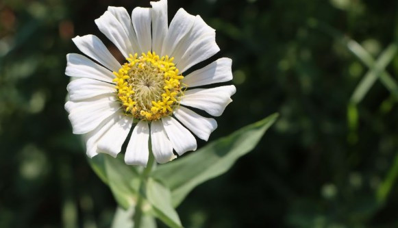 西安墓地價(jià)格?西安一般公墓多少錢一個