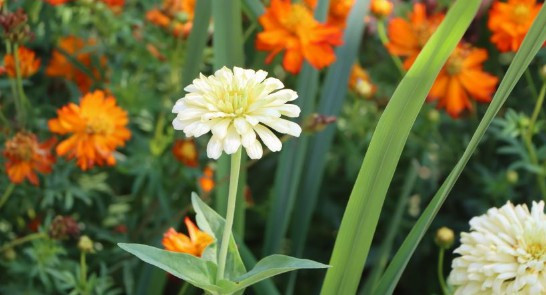 西安墓園價(jià)格表_西安公墓哪里的好