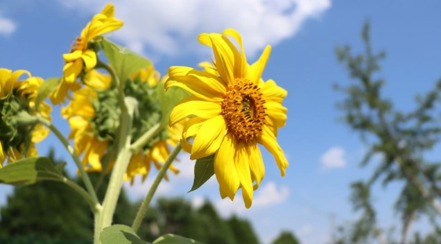 西安戶縣有哪些墓園