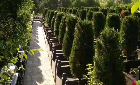 西安高橋墓園雙墓是多少錢