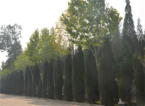 霸陵墓園多少錢一套_西安霸陵墓園新區(qū)價格