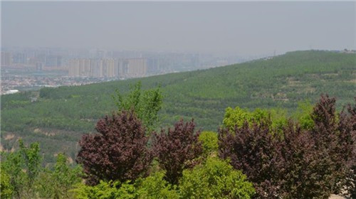 西安鳳棲山墓園都有哪些名人