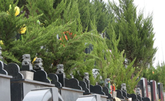 西安市買墓地到那里辦理