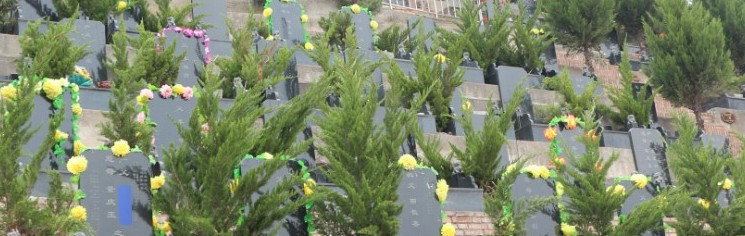 霸陵墓園新區(qū)的價格至美園-公墓價格一覽表