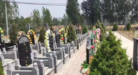 西安鳳棲山墓園在哪坐車,前往西安鳳棲山墓園的交通指南