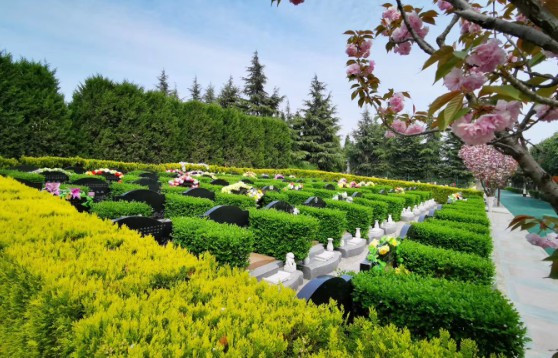 西安壽陽山骨灰墓園網(wǎng)