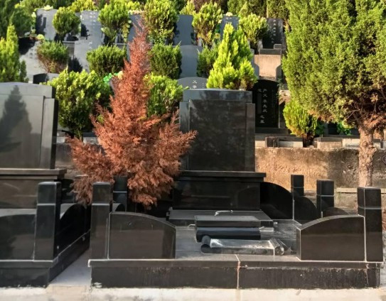 西安鳳棲山墓園(鳳棲山人文紀(jì)念園)辦事處電話