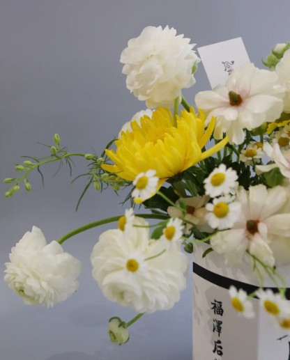 西安墓園樹葬-西安樹葬:新時代環(huán)保葬法的典范