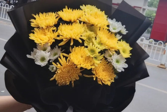 西安棗園山生態(tài)人文紀(jì)念園定制1線清明祭掃定制線路及停靠點位-公墓大全