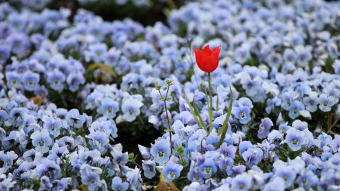 西安公墓大概多少錢