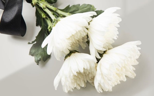 鳳棲山西安各地方辦事處