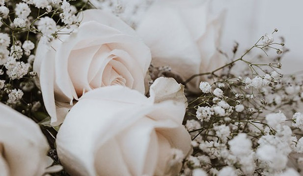 西安鳳棲山南區(qū)墓園電話