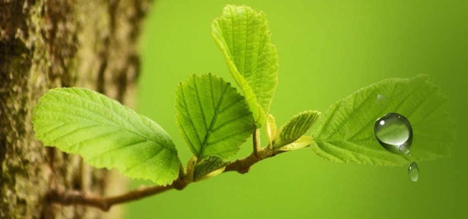 西安壽陽山墓園墓地價(jià)格