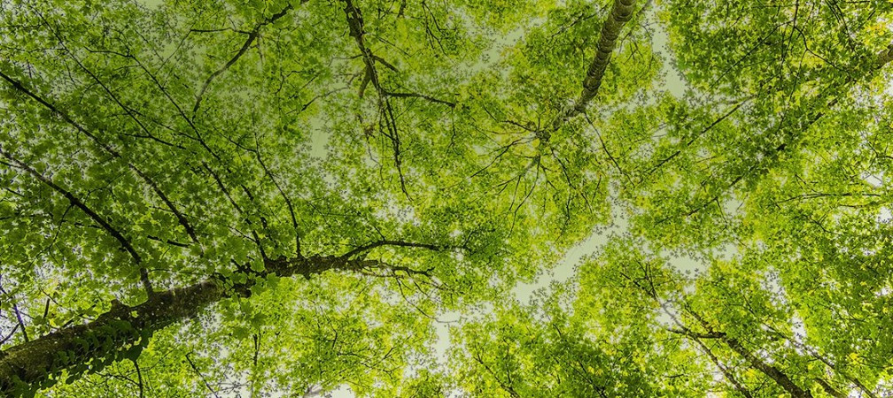 壽陽(yáng)山墓園長(zhǎng)安區(qū)價(jià)格表