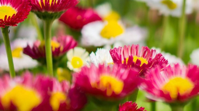 壽陽山墓園多少年使用權(quán)