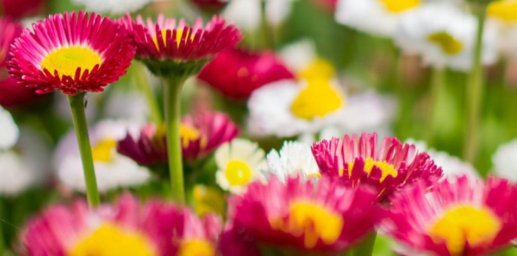 西安鳳棲山公墓電話