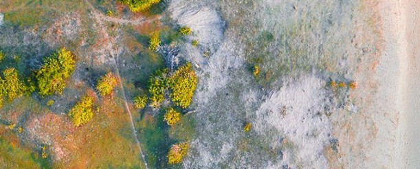 西安市灞橋區(qū)霸陵墓園,西安市灞橋區(qū)霸陵墓園的詳細(xì)信息與特色