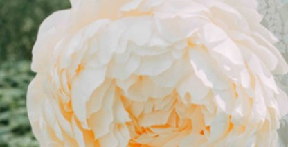 西安鳳棲山墓園電話