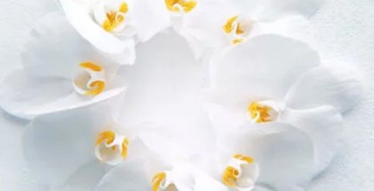 鳳棲山墓園_西安鳳棲山墓園電話 價格 地址