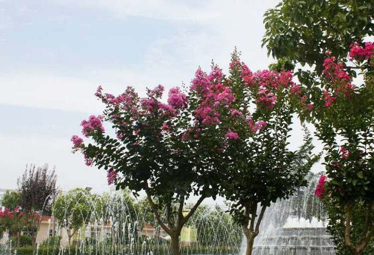 西安市戶縣金南山綠色墓園