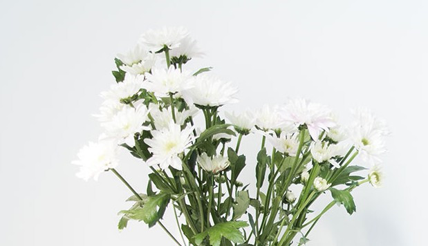 西安高橋公墓咨詢電話