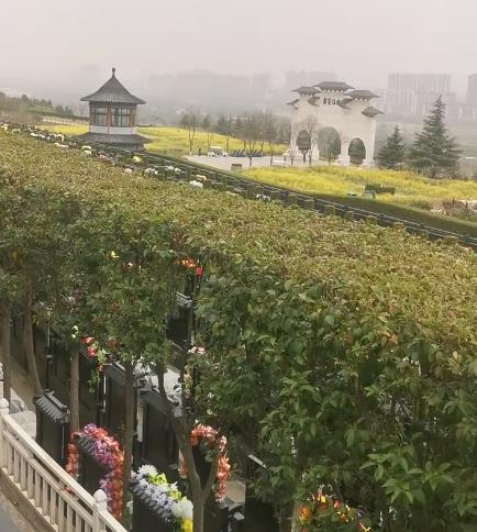 西安霸陵新區(qū)寶玉園，視野開(kāi)闊，綠樹(shù)成蔭！