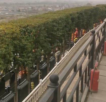 西安霸陵新區(qū)寶玉園，視野開(kāi)闊，綠樹(shù)成蔭！