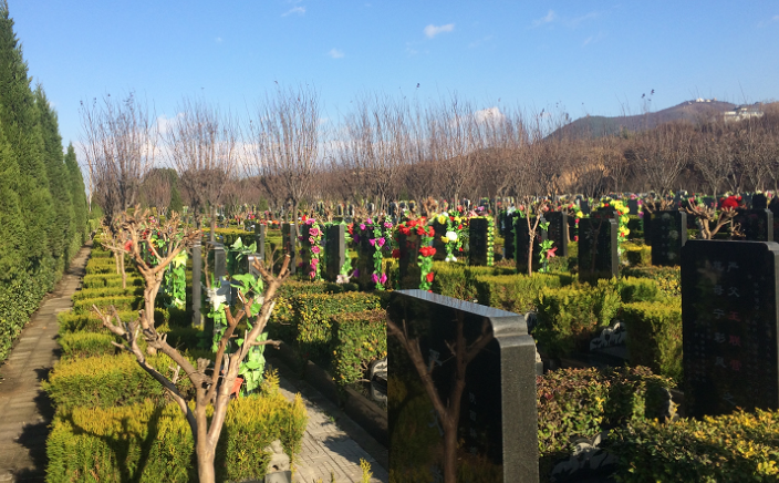 西安市驪山墓園實(shí)景拍攝