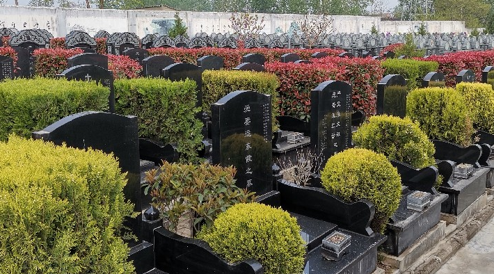 西安棗園山墓園可乘坐路、路、路等公交車抵達(dá)